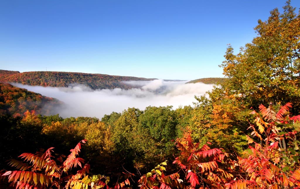 Pennsylvania Hunting Guide