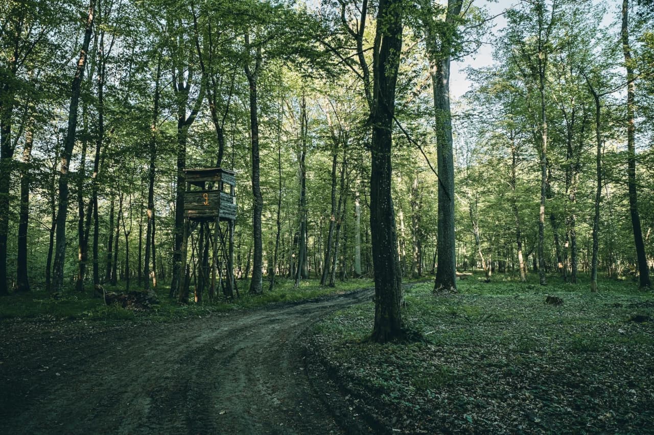 A Deep Dive into the Evolution of the American Hunting Landscape and Our Crucial Role in Securing Its Future