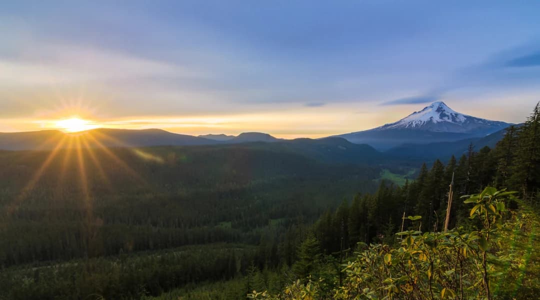 Youth Hunting: Inspiring the Next Generation of Hunters