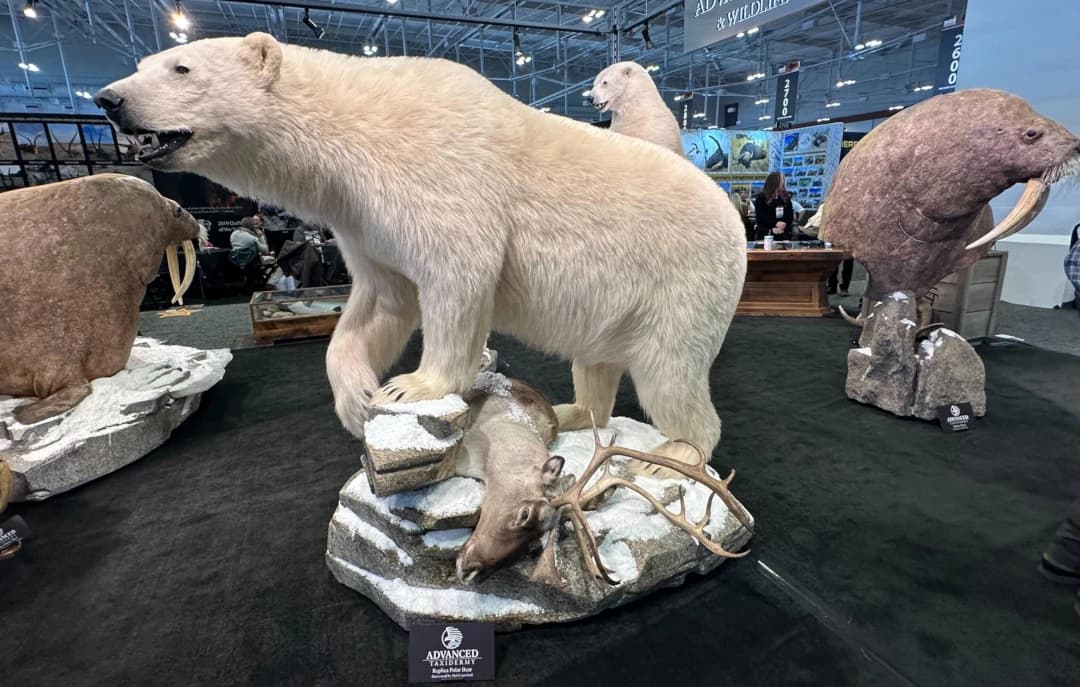 SCI Nashville: A World of Hunting Under One Roof