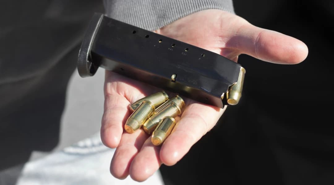 Colorado SB25-003: An Update and Its Challenges for Hunters and Sportsmen in 2025