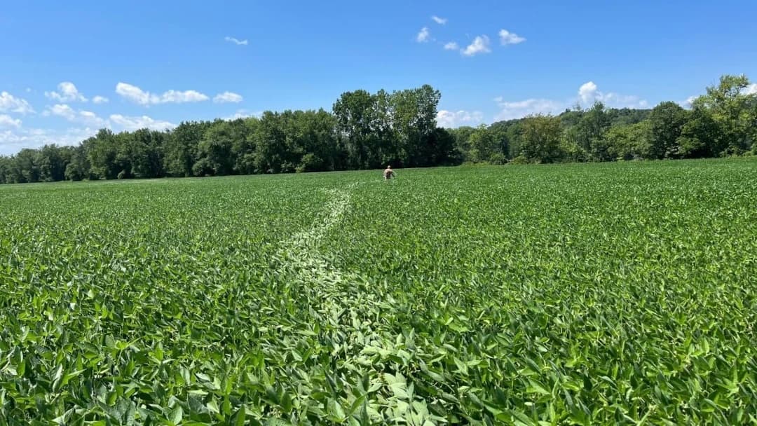 Shed Hunting: An Enjoyable Early Season Activity