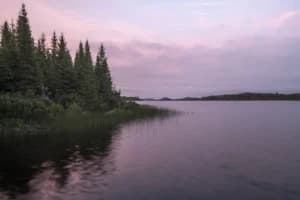 Tales from Lake of the Woods: Preserving Nature's Bounty
