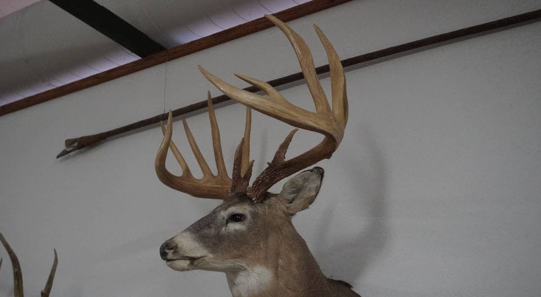 The General: The World Record Whitetail That Got Away