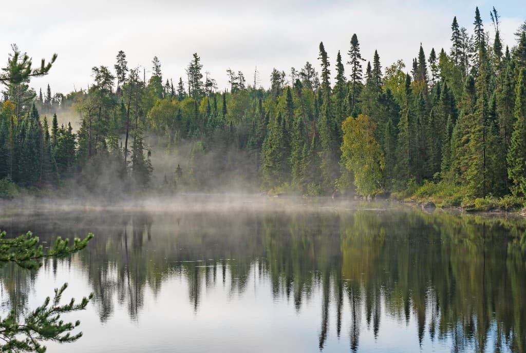 Mist rising off a calm Boundary Waters lake surrounded by northwoods pines in northern Minnesota