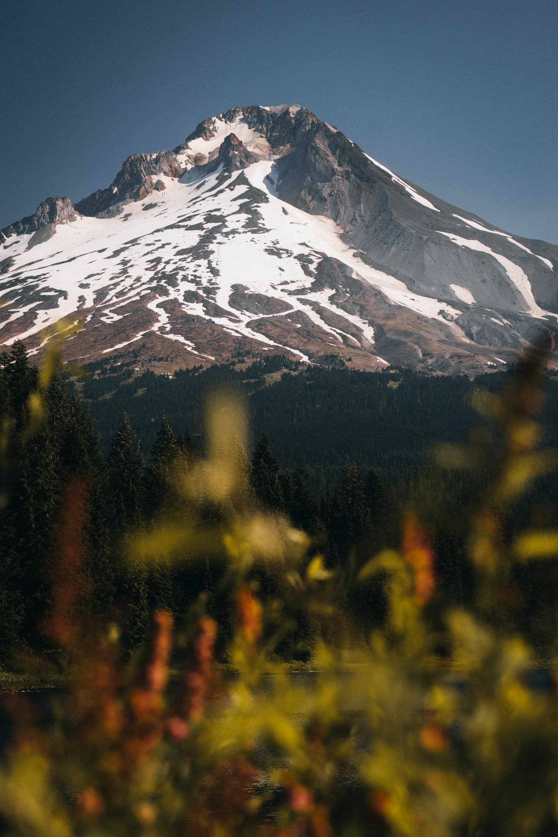Snow-capped Mount Hood rising above Oregon forest—outdoor heritage that IP28 threatened and sportsmen defended