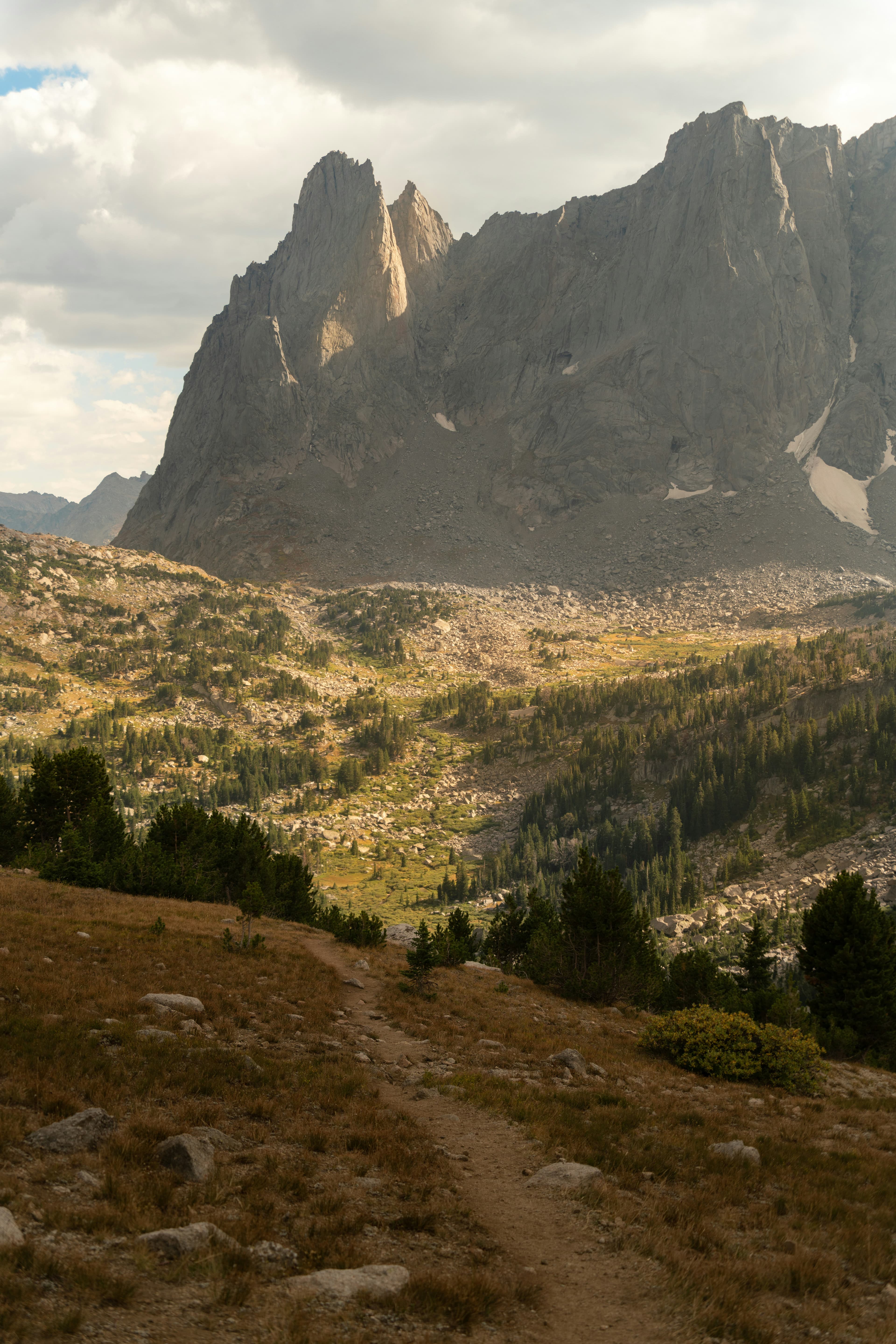 Rugged Wind River Range peaks rising above alpine forest in Wyoming—roadless backcountry that supports elk, mule deer, and native trout fisheries