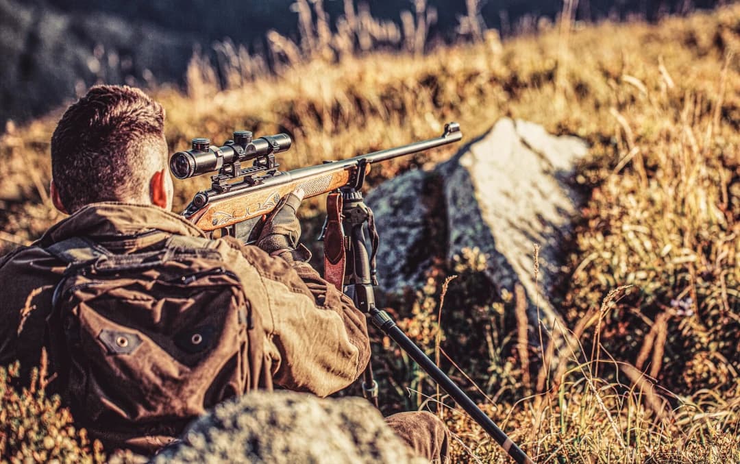 Rifles on display — shooting sports and range-day gear context