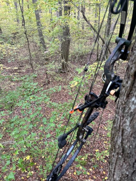 Bow hanger for saddle hunting